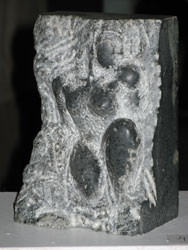 Wanha Woimala 2008 Koprun 30v. juhlanäyttely