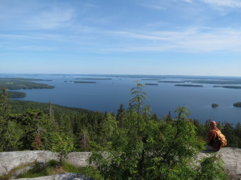 Kolin kansallispuisto