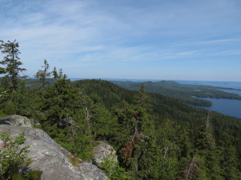 Kolin kansallispuisto