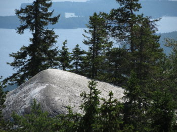 Kolin kansallispuisto