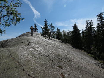 Kolin kansallispuisto