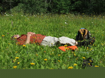 Kolin kansallispuisto