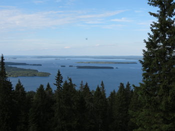 Kolin kansallispuisto