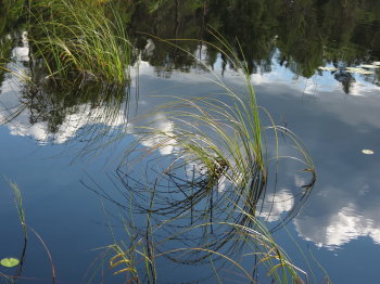 Pyh�h�kin kansallispuistossa