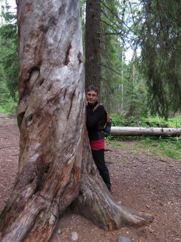 Pyh�h�kin kansallispuistossa