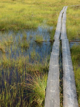 Pyh�h�kin kansallispuistossa