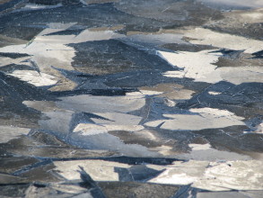 Kuvioita Talsanlammen j��ll� 2009