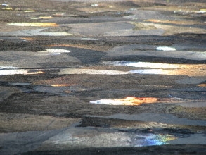 Kuvioita Talsanlammen j��ll� 2009