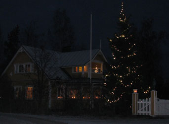 Kuvioita Talsanlammen j��ll� 2009