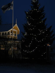 Kuvioita Talsanlammen j��ll� 2009