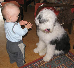 Talsan taidekodin albumista 2010