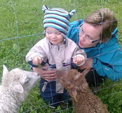 Talsan taidekodin albumista 2010