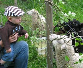 Talsan taidekodin albumista 2010