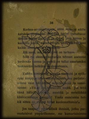 Tuula Hiekkanen: siirtokukka